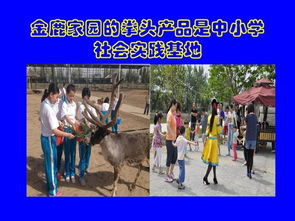 京郊旅游服务营销 打造独特体验的品牌化路径
